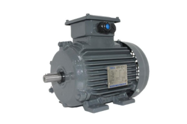 Electro Motor Teco