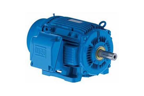 WEG Electro Motor